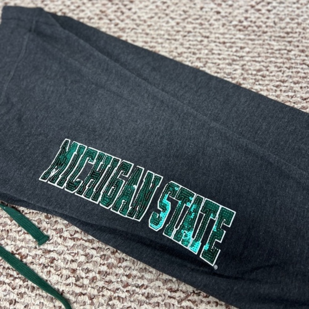 Michigan‎ State - Picture 3 of 7